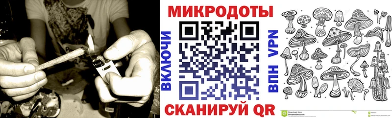 Псилоцибиновые грибы прущие грибы  Кизляр 